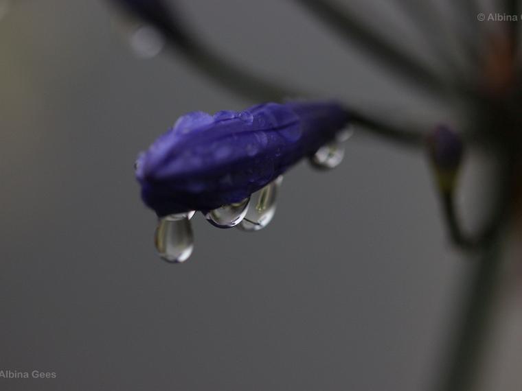 K_2021_08_04_Terasse_IMG_9751