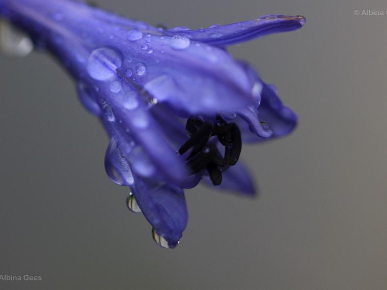 K_2021_08_04_Terasse_IMG_9792