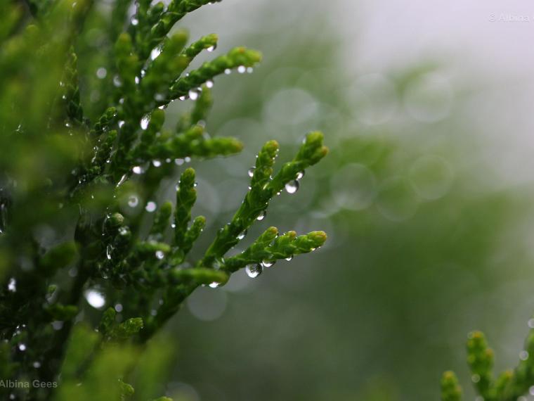 K_2021_08_04_Terasse_IMG_9846