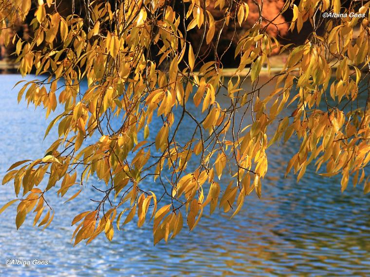 K_2023_10_28_St.Moritz_IMG_4317