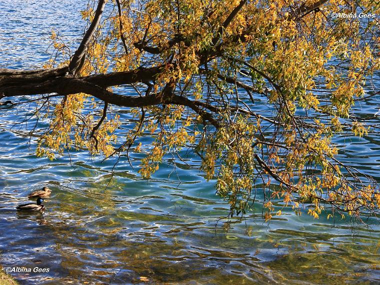 K_2023_10_28_St.Moritz_IMG_4403