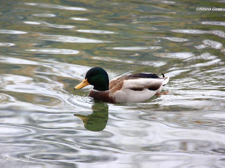 K_2023_10_23_LejMarsch_IMG_4007