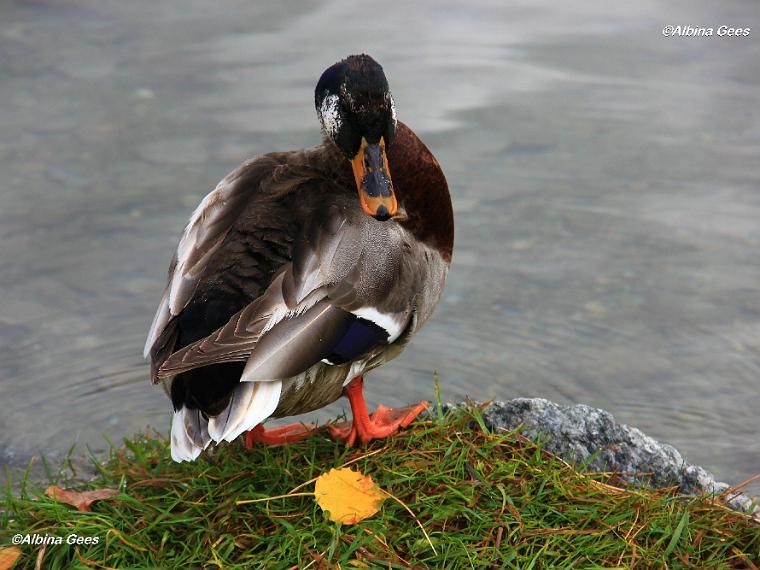 K_2023_10_23_LejMarsch_IMG_4030