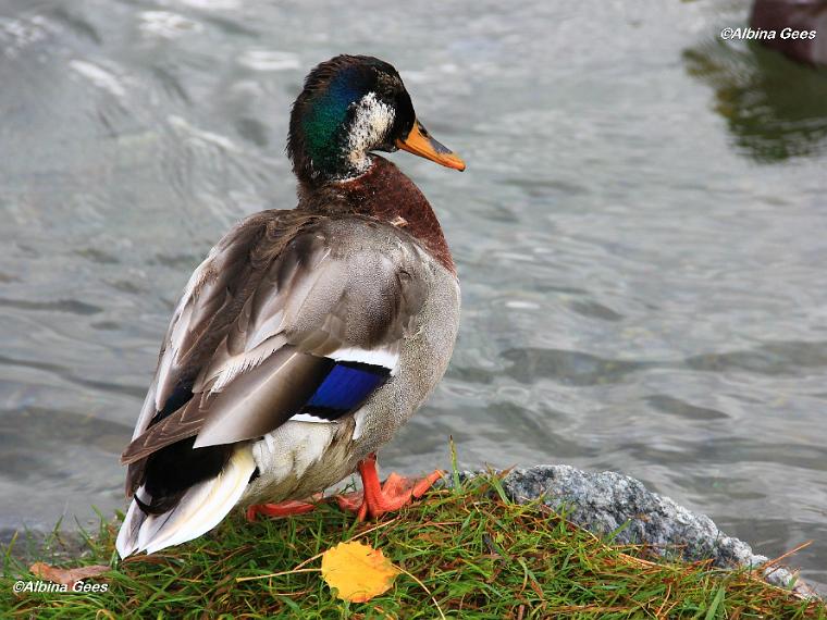 K_2023_10_23_LejMarsch_IMG_4032