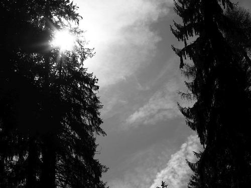 2018_04_20_Trin_IMG_1513