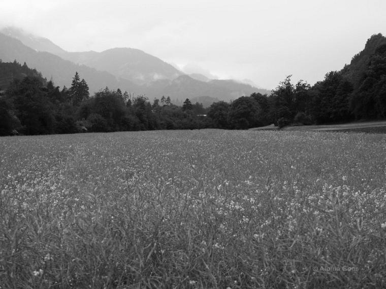 2018_05_14_Ems_Tamins_IMG_1933