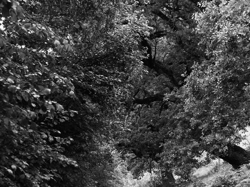 2018_05_14_Ems_Tamins_IMG_1937