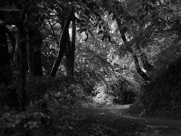 2018_05_14_Ems_Tamins_IMG_1962